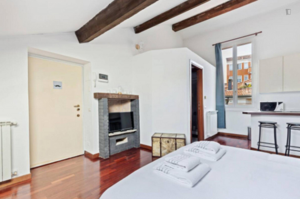 Snug studio near Moscova metro station