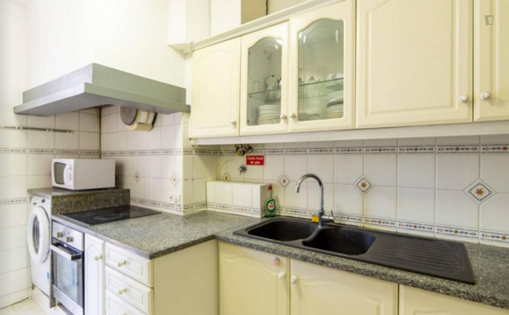 Bright double bedroom in Arroios with Balcony