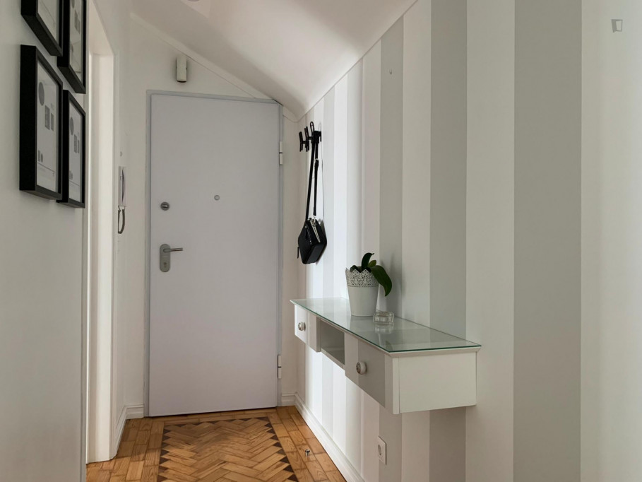 Bright 1-bedroom apartment with large living room and a sofa-bed for guests