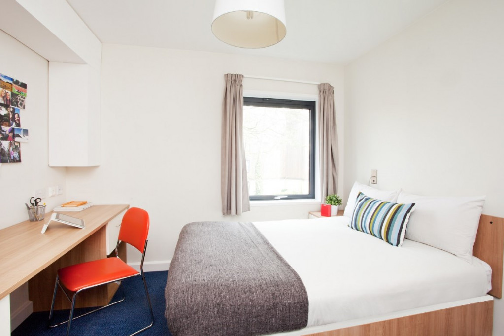 Dorset House - Oxford - chambre - ImmoJeune