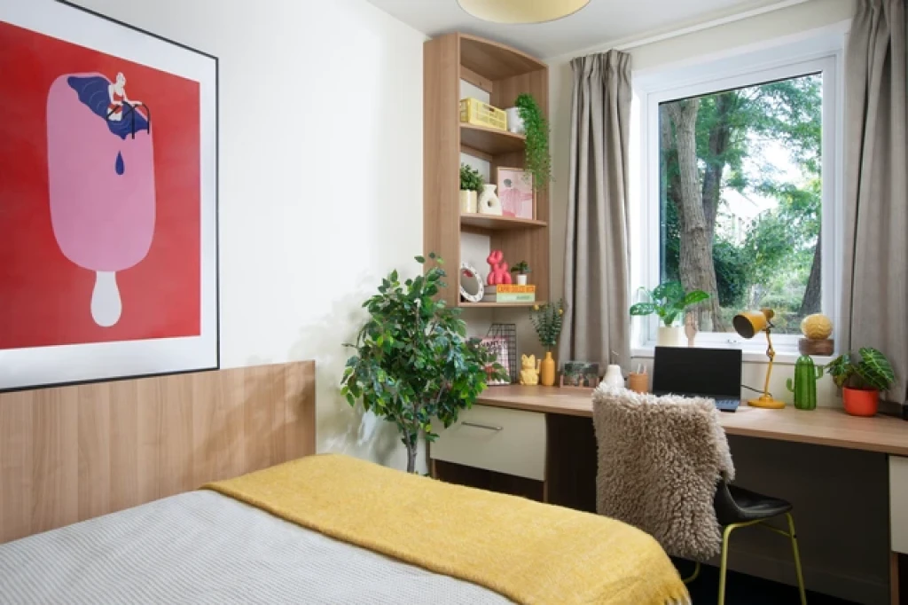 Dorset House - Oxford - chambre - ImmoJeune