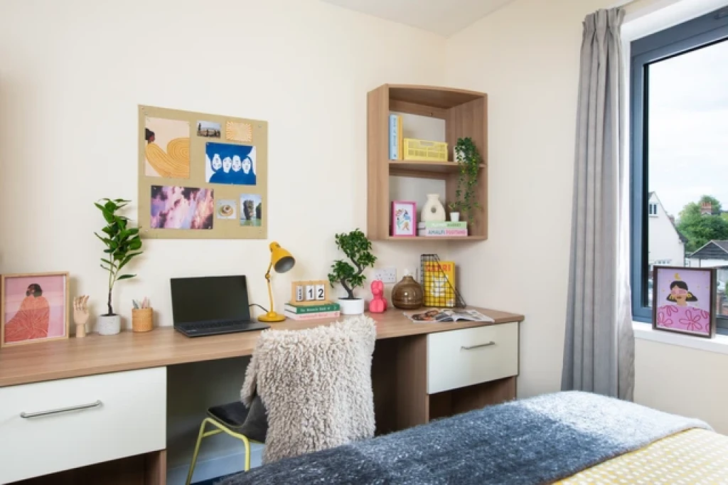 Dorset House - Oxford - chambre - ImmoJeune