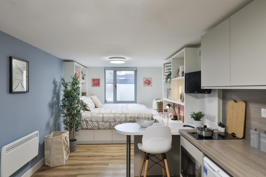 Tamarillo House - Bristol - chambre - ImmoJeune