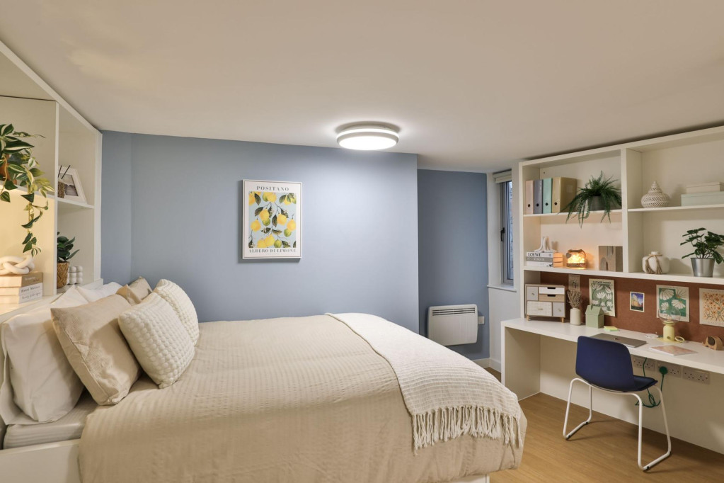 Tamarillo House - Bristol - chambre - ImmoJeune