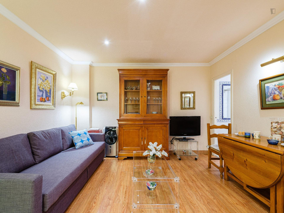 Cozy apartment in Chamberí