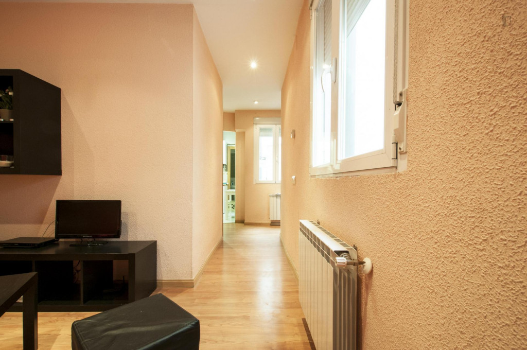 Interesting 3-bedroom apartment in historic La Latina
