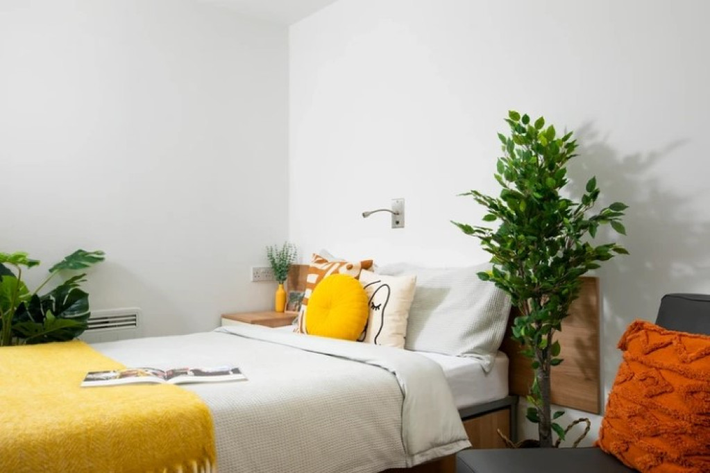 Charlton Court - Bath - chambre - ImmoJeune