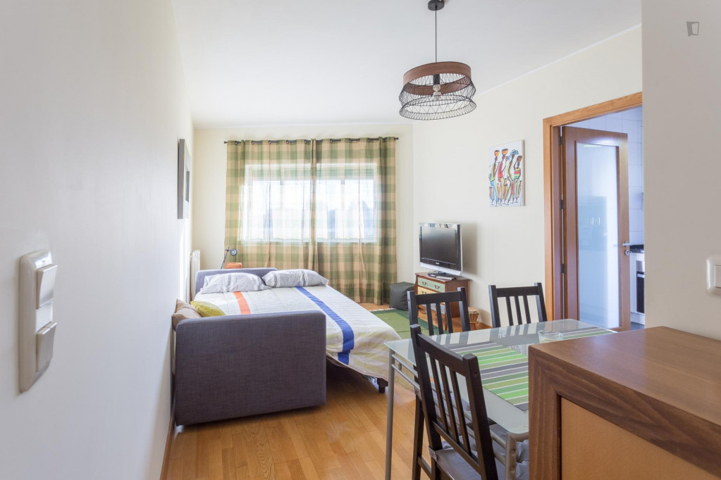 Big Studio near Boavista roundabout - Porto - chambre - ImmoJeune