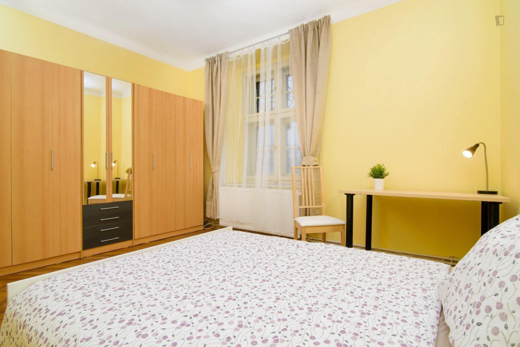 Large double bedroom near the Praha-Bubny train station - Prague - chambre - ImmoJeune