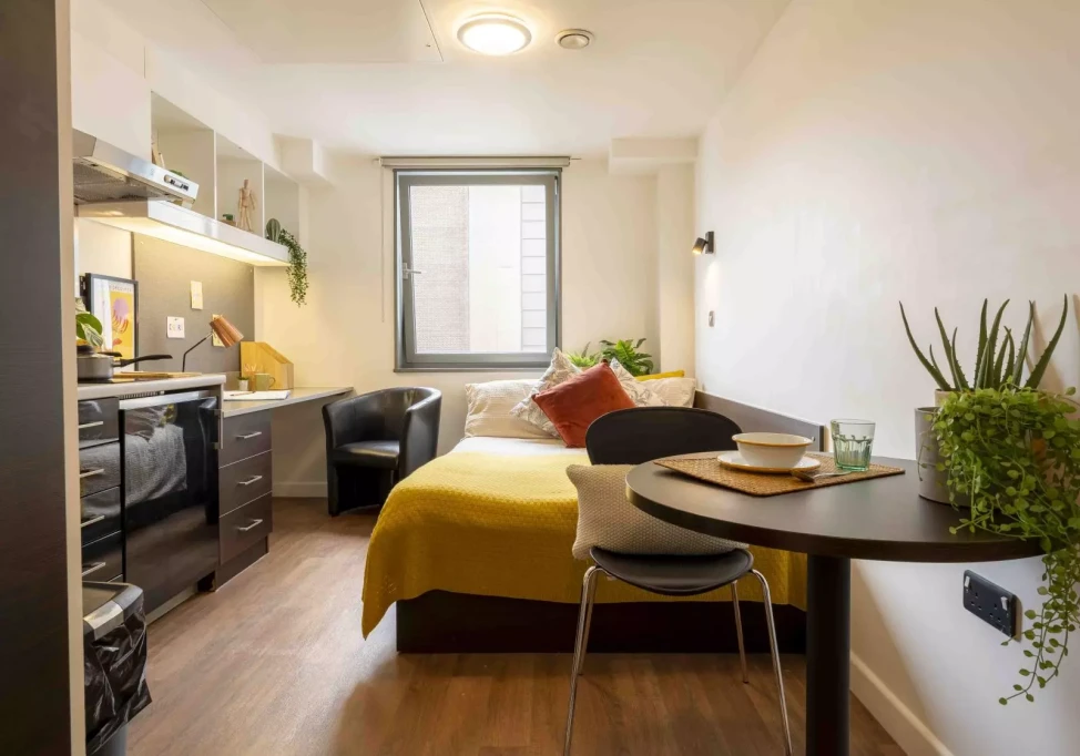 IQ Astor House - Plymouth - chambre - ImmoJeune