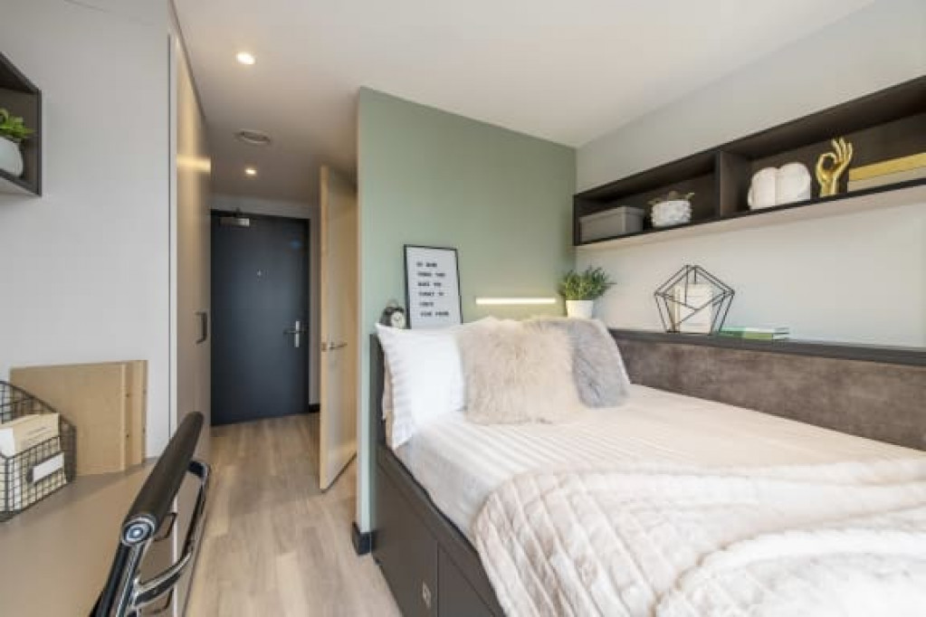 Zenith - Cardiff - chambre - ImmoJeune