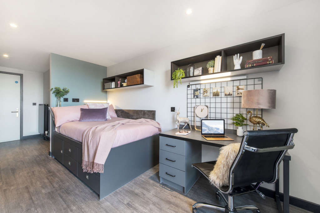 Zenith - Cardiff - chambre - ImmoJeune