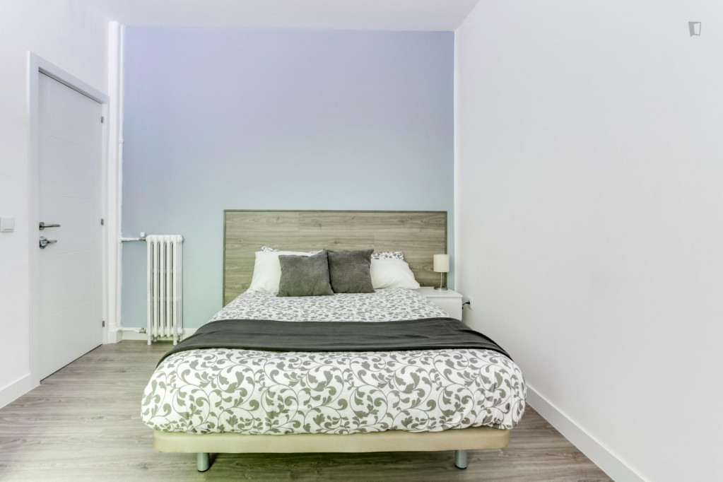 Spacious and bright double bedroom near Retiro metro station - Madrid - chambre - ImmoJeune
