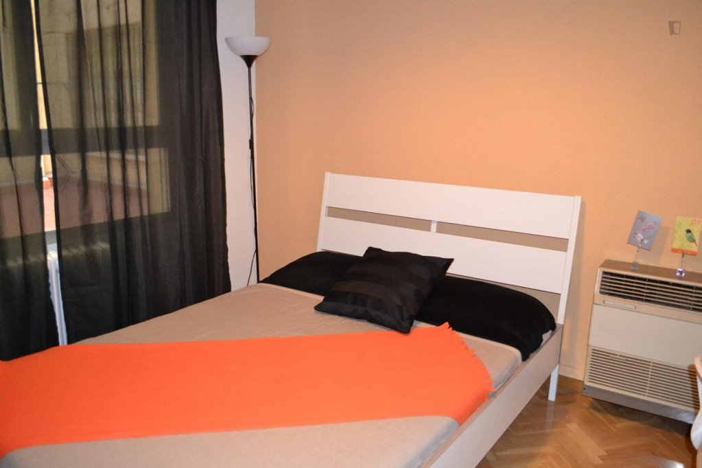 Bright and comfy double bedroom in near Plaza de Olavide - Madrid - chambre - ImmoJeune