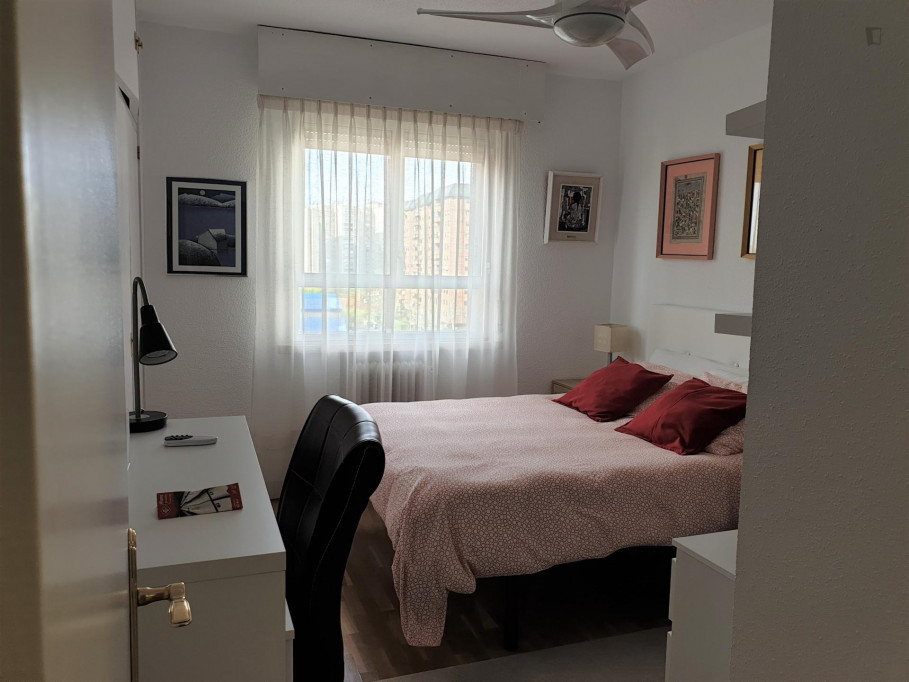 Double bedroom in 3-bedroom apartment - Madrid - chambre - ImmoJeune