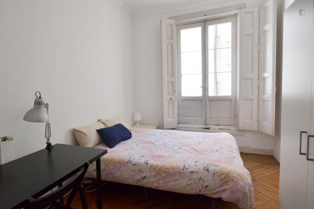 Bright single bedroom In Asturias, near Palacio Real de Madrid - Madrid - chambre - ImmoJeune