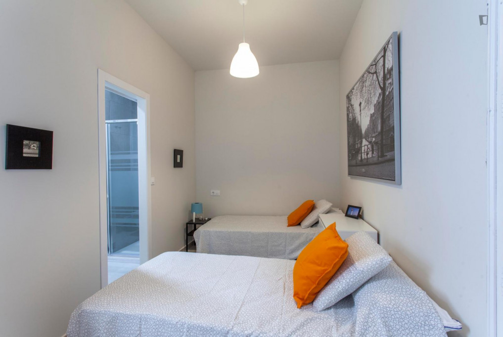 Beautiful twin ensuite bedroom close to IEM Business School - Valence - chambre - ImmoJeune