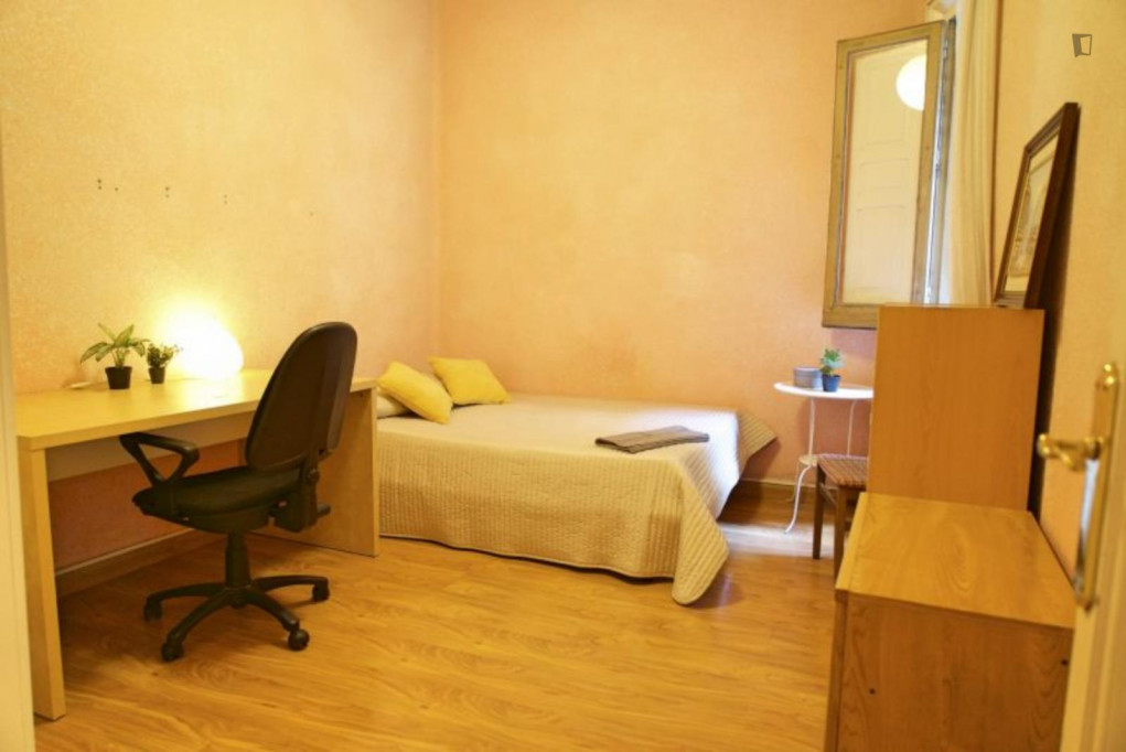 Appealing Double bedroom near Museo Nacional de Ciencias Naturales - Madrid - chambre - ImmoJeune