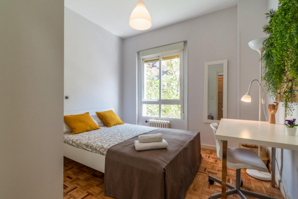 Double bedroom in 3-bedroom apartment - Madrid - chambre - ImmoJeune