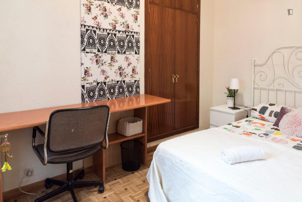 Splendid double bedroom near the Puerta de Toledo campus of Universidad Carlos III - Madrid - chambre - ImmoJeune