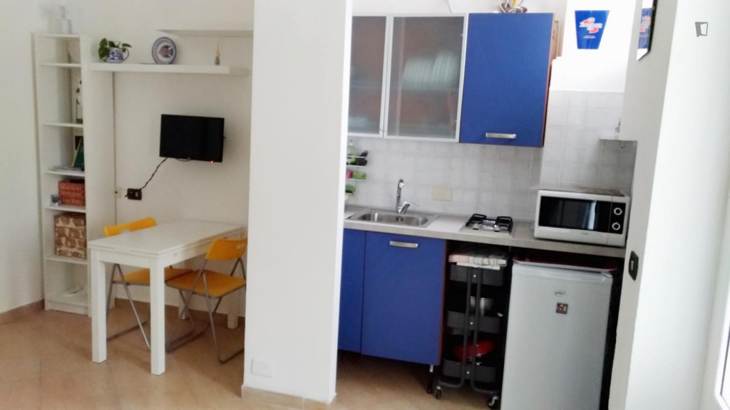 Studio Apartment Navigli, Bocconi, Naba, Domus - Milan - chambre - ImmoJeune