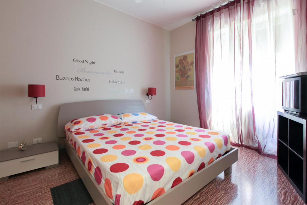 Cosy double bedroom in a 2-bedroom apartment in proximity to Politecnico di Milano - Milan - chambre - ImmoJeune