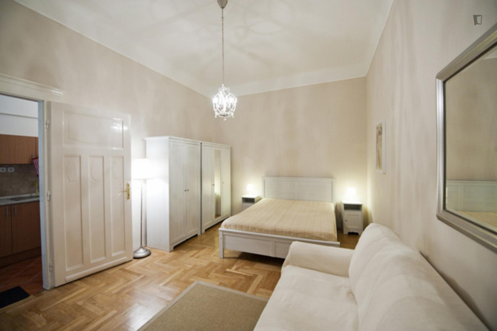 Spacious 1-bedroom apartment near Eötvös Loránd Tudományegyetem University - Budapest - chambre - ImmoJeune