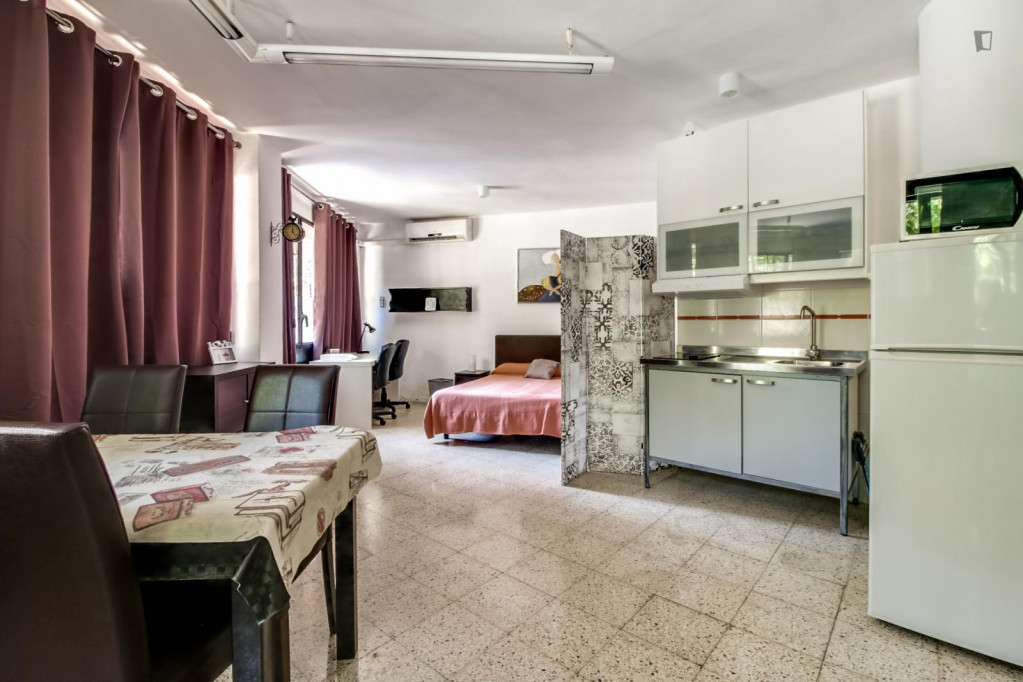 Large and bright studio in La Sagrada Família neighbourhood - Barcelone - chambre - ImmoJeune