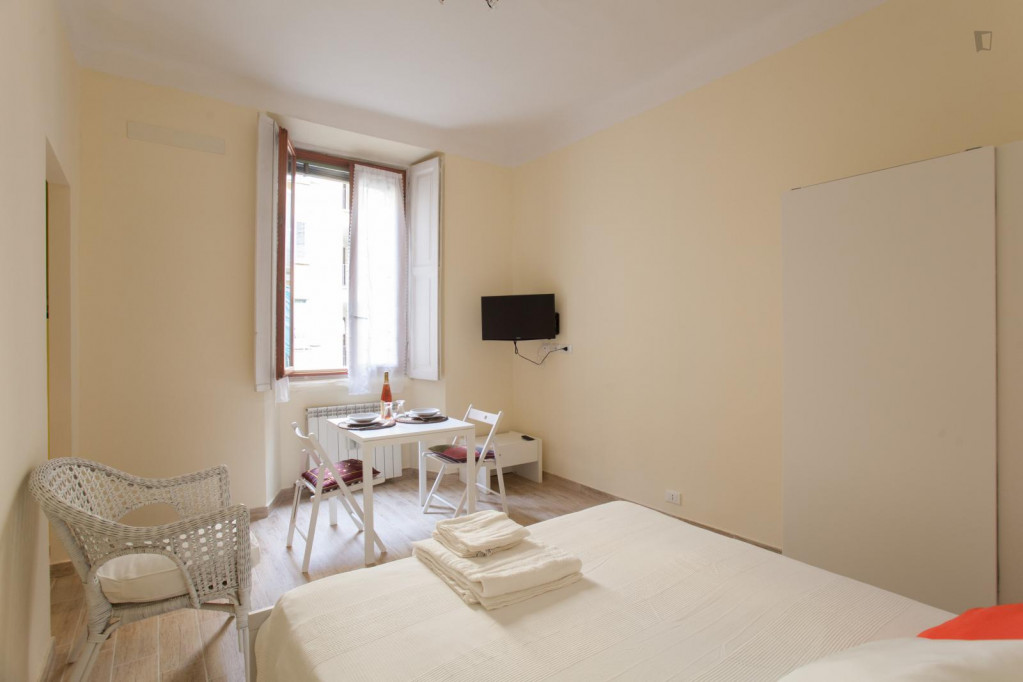 Comfortable studio flat in Stazione Centrale neighbourhood - Milan - chambre - ImmoJeune