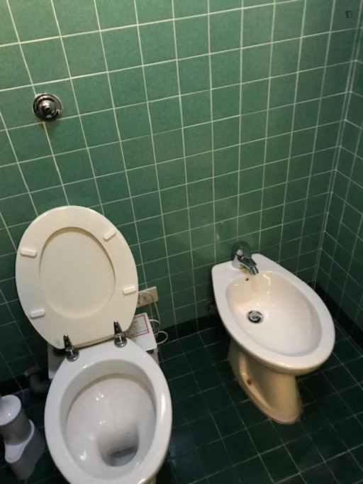 Double ensuite bedroom in a student flat, in Portuense