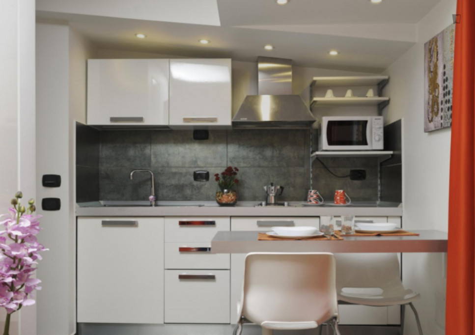 Elegant studio in Portuense neighbourhood