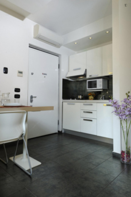 Elegant studio in Portuense neighbourhood