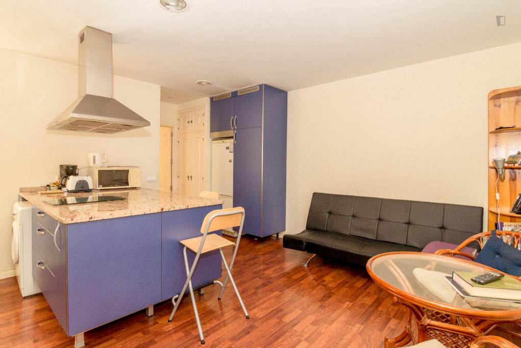 Modern 1-bedroom apartment in Guindalera - Madrid - chambre - ImmoJeune