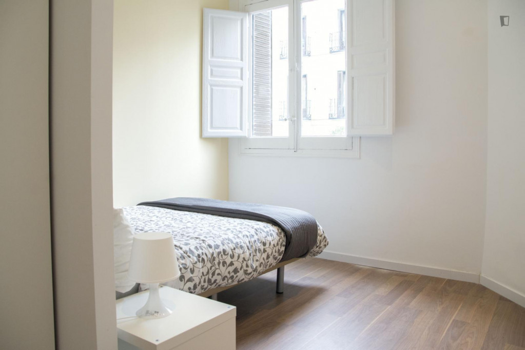 Lovely double bedroom in Lavapiés - Madrid - chambre - ImmoJeune
