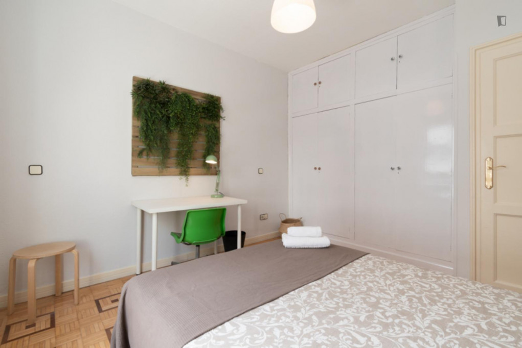 Double bedroom in 4-bedroom apartment - Madrid - chambre - ImmoJeune