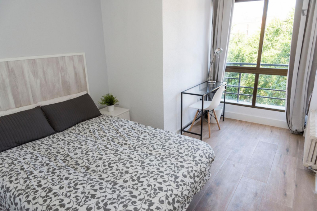 Luminous double bedroom near the Puertas de Toledo metro - Madrid - chambre - ImmoJeune
