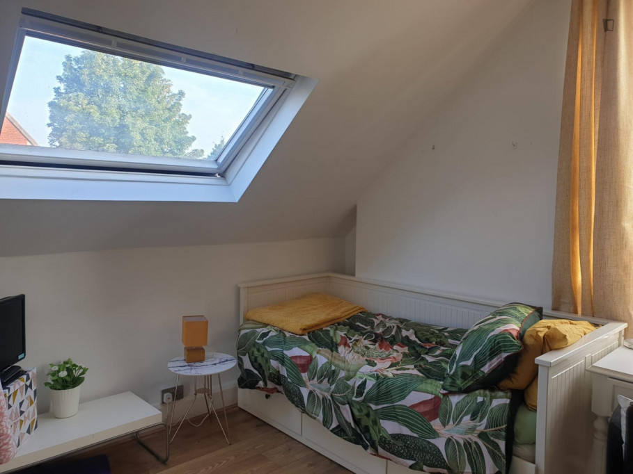 Very charming ensuite double bedroom, in a victorian 6 bedroom house - Cardiff - chambre - ImmoJeune