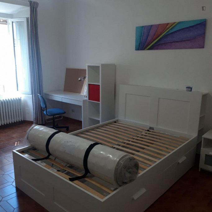 Nice double room in a 4-bedroom flat near the university - Florence - chambre - ImmoJeune