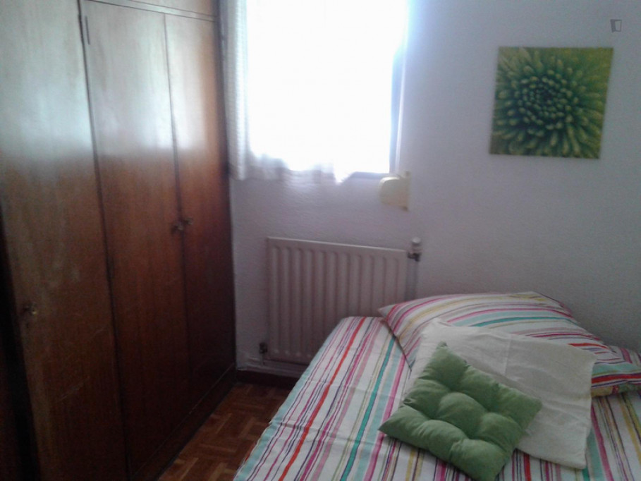 Bright double bedroom in Puerta del Angel - Madrid - chambre - ImmoJeune