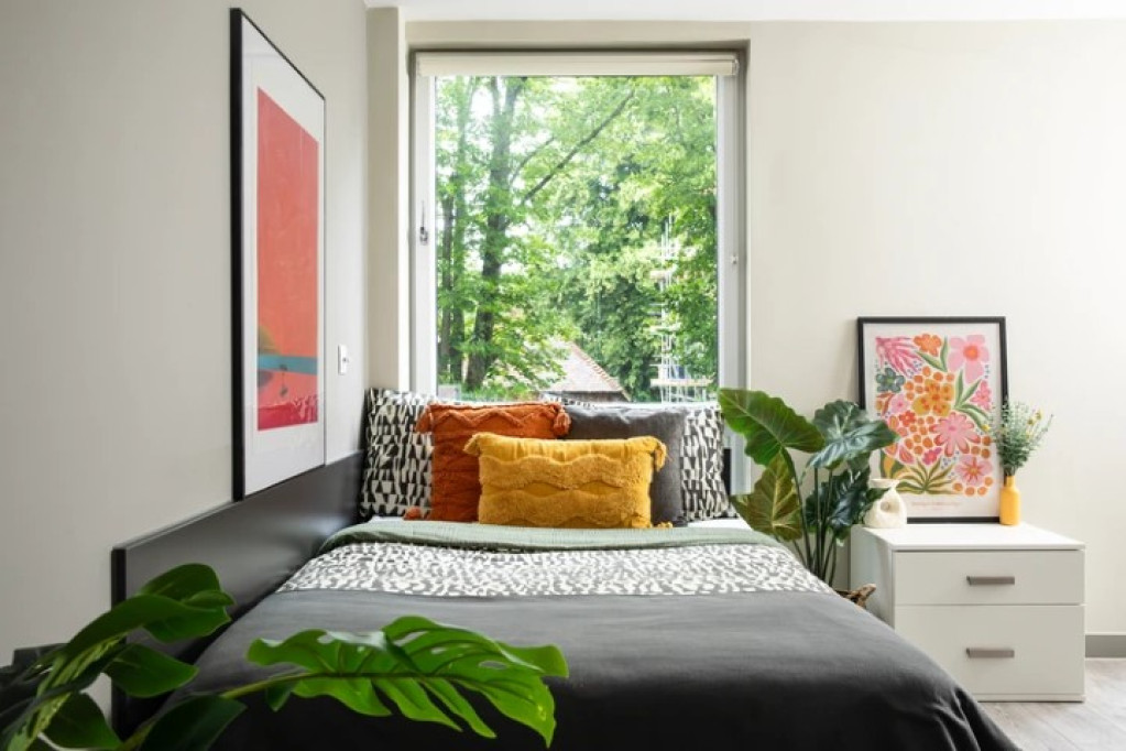 Beech House Unite - Oxford - chambre - ImmoJeune