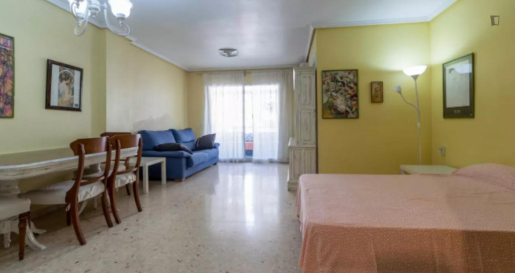 Really large double bedroom in Albors - Valence - chambre - ImmoJeune