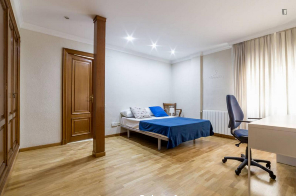 Large double ensuite bedroom in the Ciudad Universitária neighbourhood - Valence - chambre - ImmoJeune