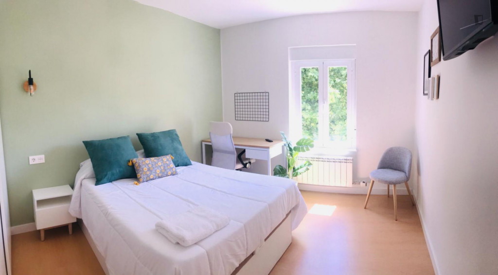 Appealing double bedroom in a 6-bedroom flat, in the central Buenos Aires area - Salamanca - chambre - ImmoJeune