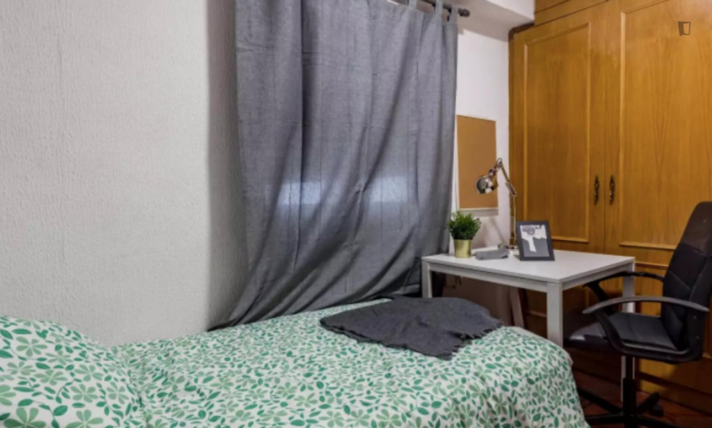 Really nice single bedroom in a student flat, in Benimaclet - Valence - chambre - ImmoJeune