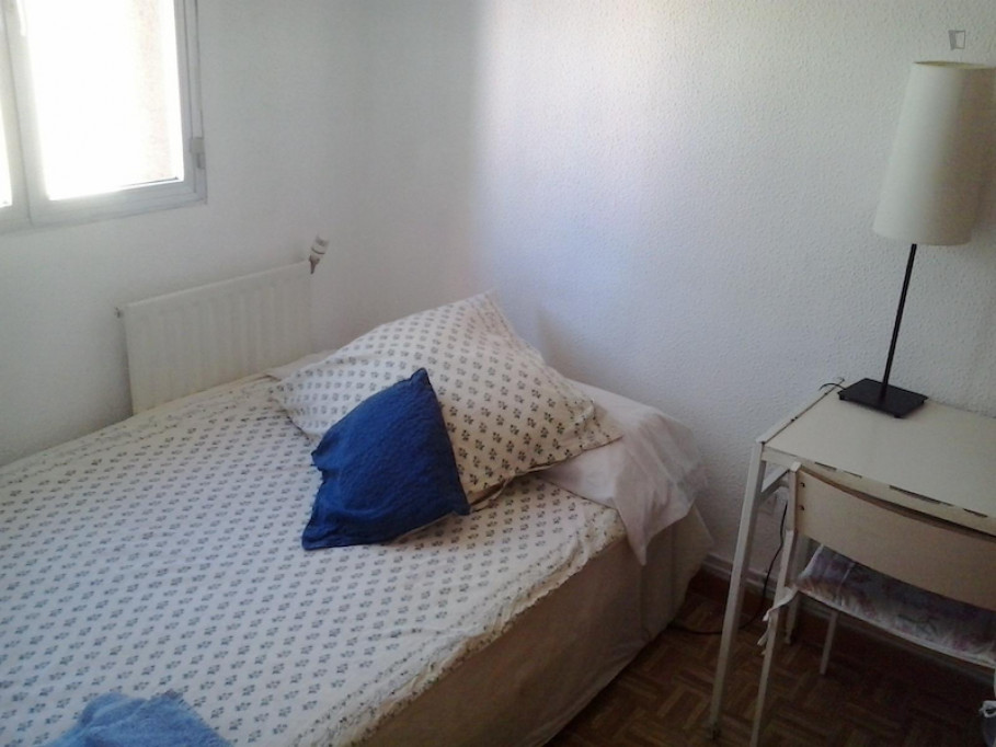 Pleasant double bedroom in the Puerta del Angel neighbourhood - Madrid - chambre - ImmoJeune