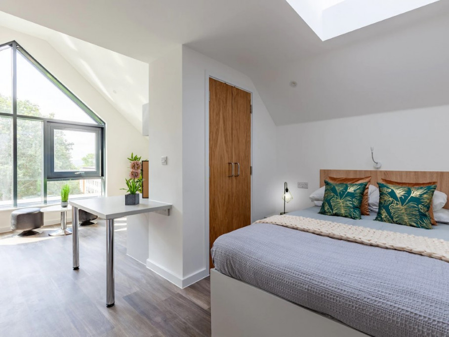 Hill View Place - Exeter - chambre - ImmoJeune
