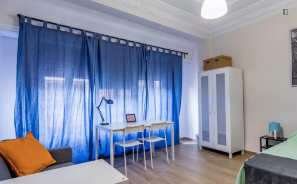 Ample double bedroom in a student flat, in El Botànic - Valence - chambre - ImmoJeune