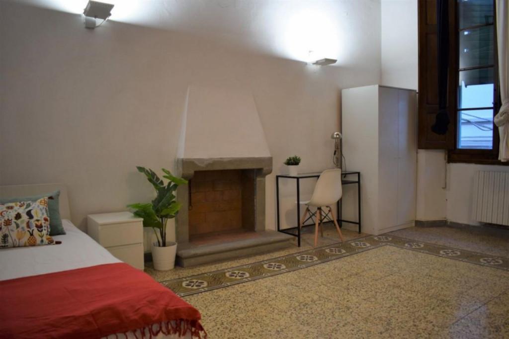 Homely single bedroom near Ponte alla Carraia - Florence - chambre - ImmoJeune