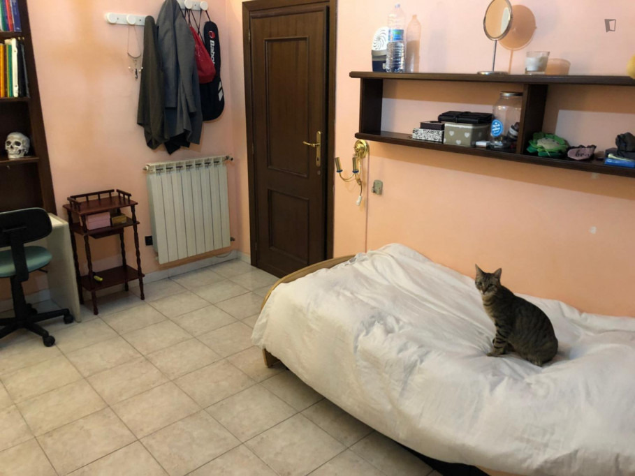 Single bedroom, with balcony, in 5-bedroom apartment - Rome - chambre - ImmoJeune