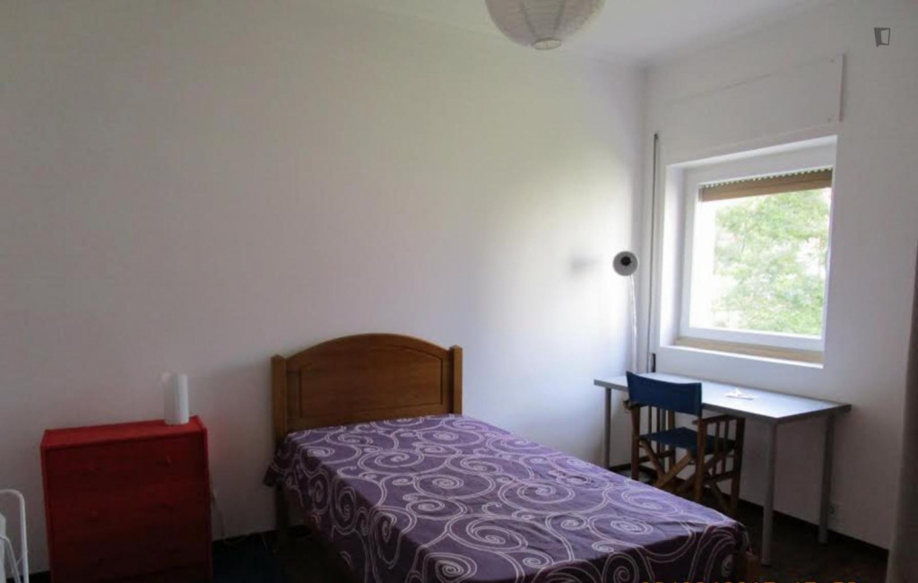 Pleasant single bedroom close to Escola Superior de Educação - Coimbra - chambre - ImmoJeune